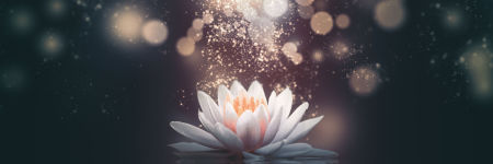 Nilüfer (Lotus) Çiçeğinin Spiritüel Anlamı: Değişimin Kutsal Çiçeiği