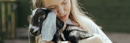 Çin Astrolojisinde Keçi Burcu: O Kimdir?