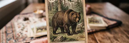 Ayı kartı: Lenormand Tarotu'nda anlamı