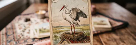 Leylek kartı: Lenormand Tarotu'nda anlamı