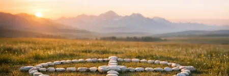 Totem Hayvanınız Hangisi? Bırakın Size Yol Göstersinler!
