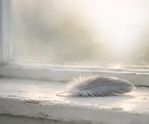 Evde Ölü Kuş Bulmak Ne Anlama Gelir?