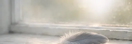 Evde Ölü Kuş Bulmak Ne Anlama Gelir?