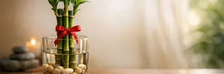 Şans Bambusu: Anlamı ve Feng Shui’deki Yeri