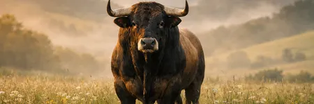 Boğa burcunu çıldırtan 5 cümle ♉🔥