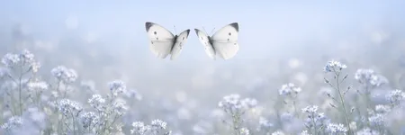 İkizler burcunu çıldırtan 5 cümle ♊🦋