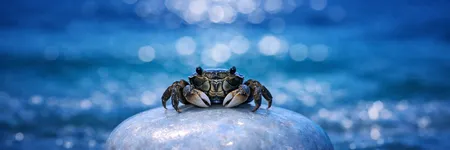 Yengeç burcunu çıldırtan 5 cümle ♋🦀
