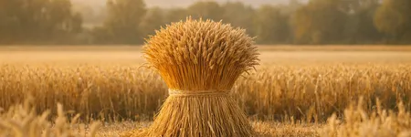 Başak burcunu çıldırtan 5 cümle ♍🌾
