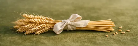 Başak'ın duymak İSTEMEDİĞİ gerçek ♍🌾