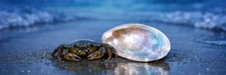 Yengeç burcunun duymak İSTEMEDİĞİ gerçek ♋🦀