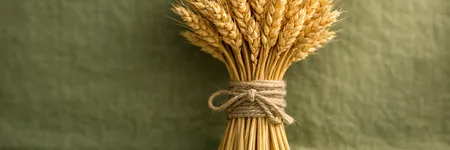 Başak'ın gelişmek için bırakması gerekenler ♍🌱