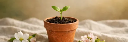 Boğa burcunun gelişmek için unutması gerekenler ♉🌱